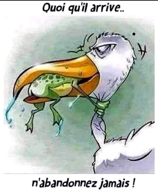 Quoi qu'il arrive… n'abandonnez jamais !