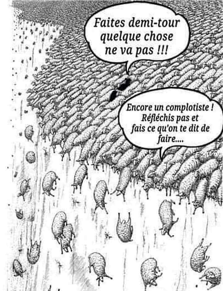 Encore un complotiste